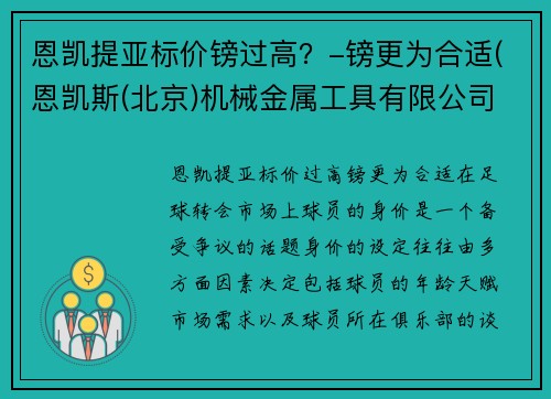 恩凯提亚标价镑过高？-镑更为合适(恩凯斯(北京)机械金属工具有限公司)