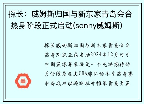 探长：威姆斯归国与新东家青岛会合 热身阶段正式启动(sonny威姆斯)